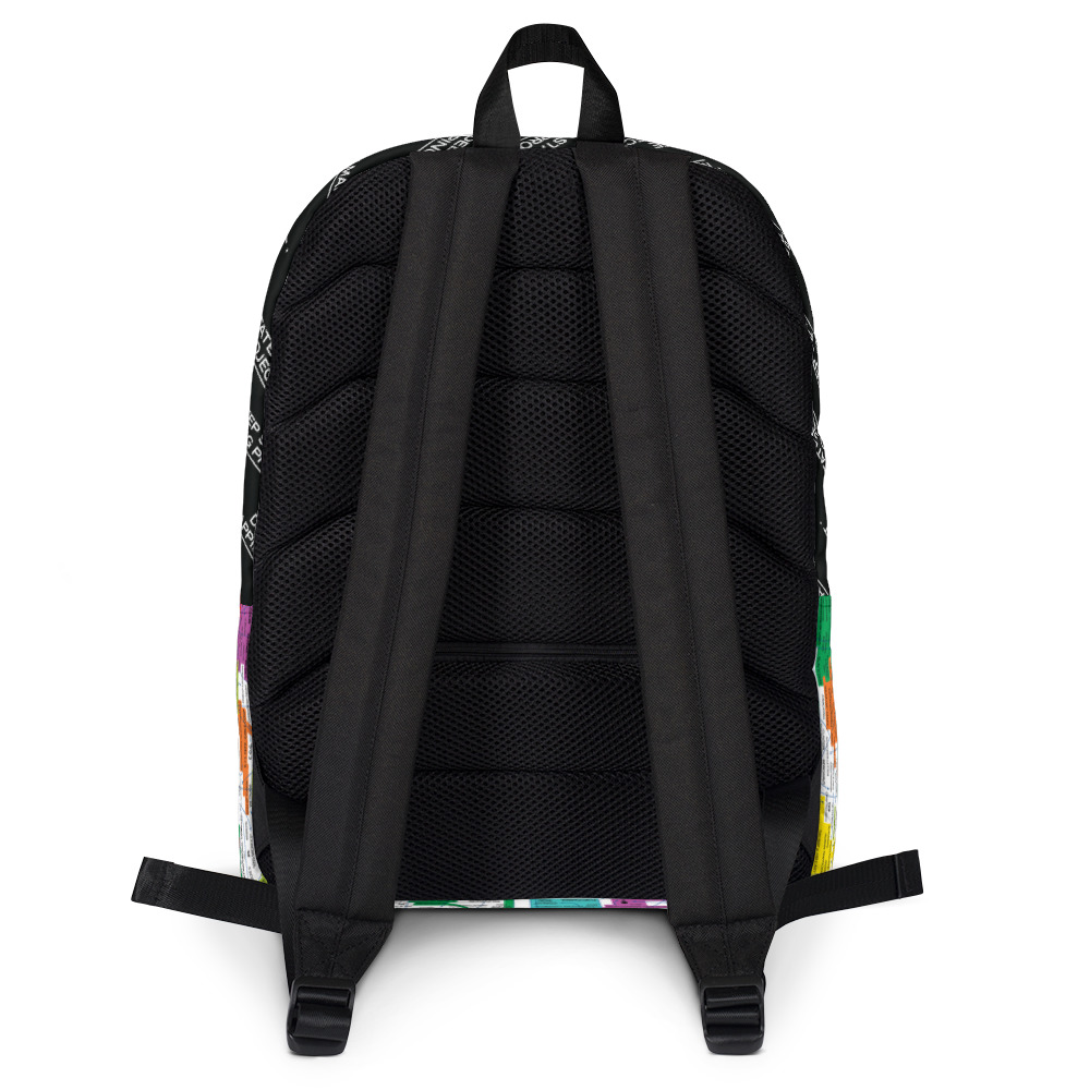 Q-WEB BACKPACK (MULTI) - Image 2
