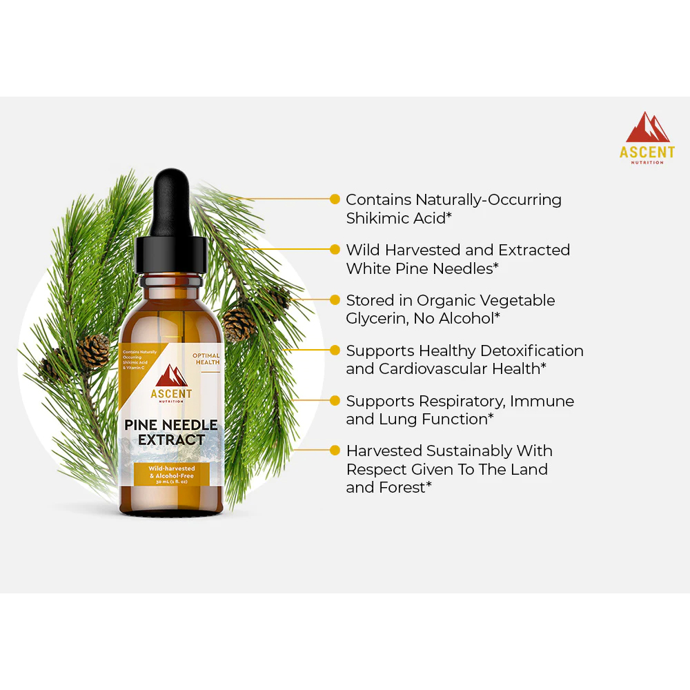 Pine Needle Extract by Ascent Nutrition - Image 3