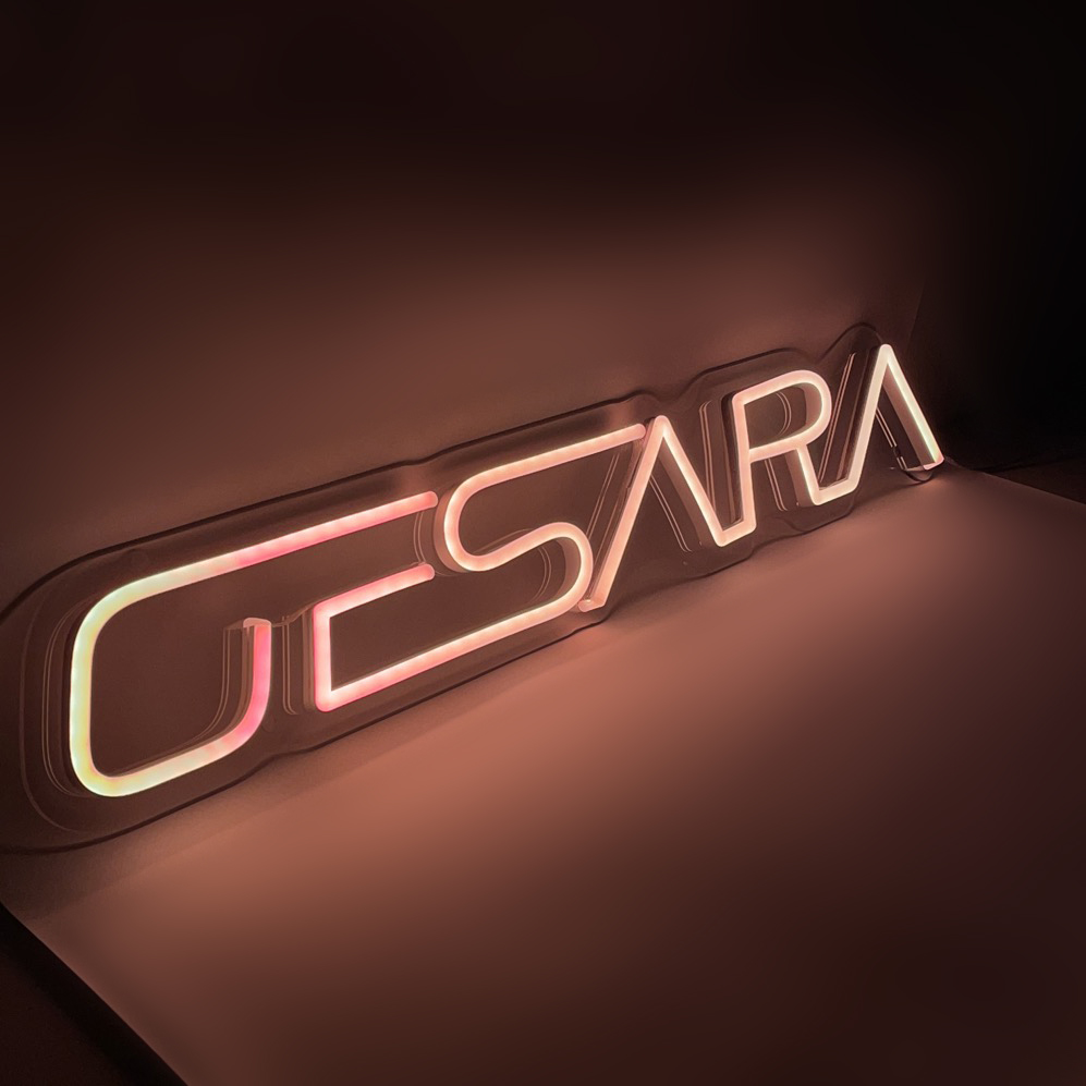 GESARA LED Neon Sign - Image 9